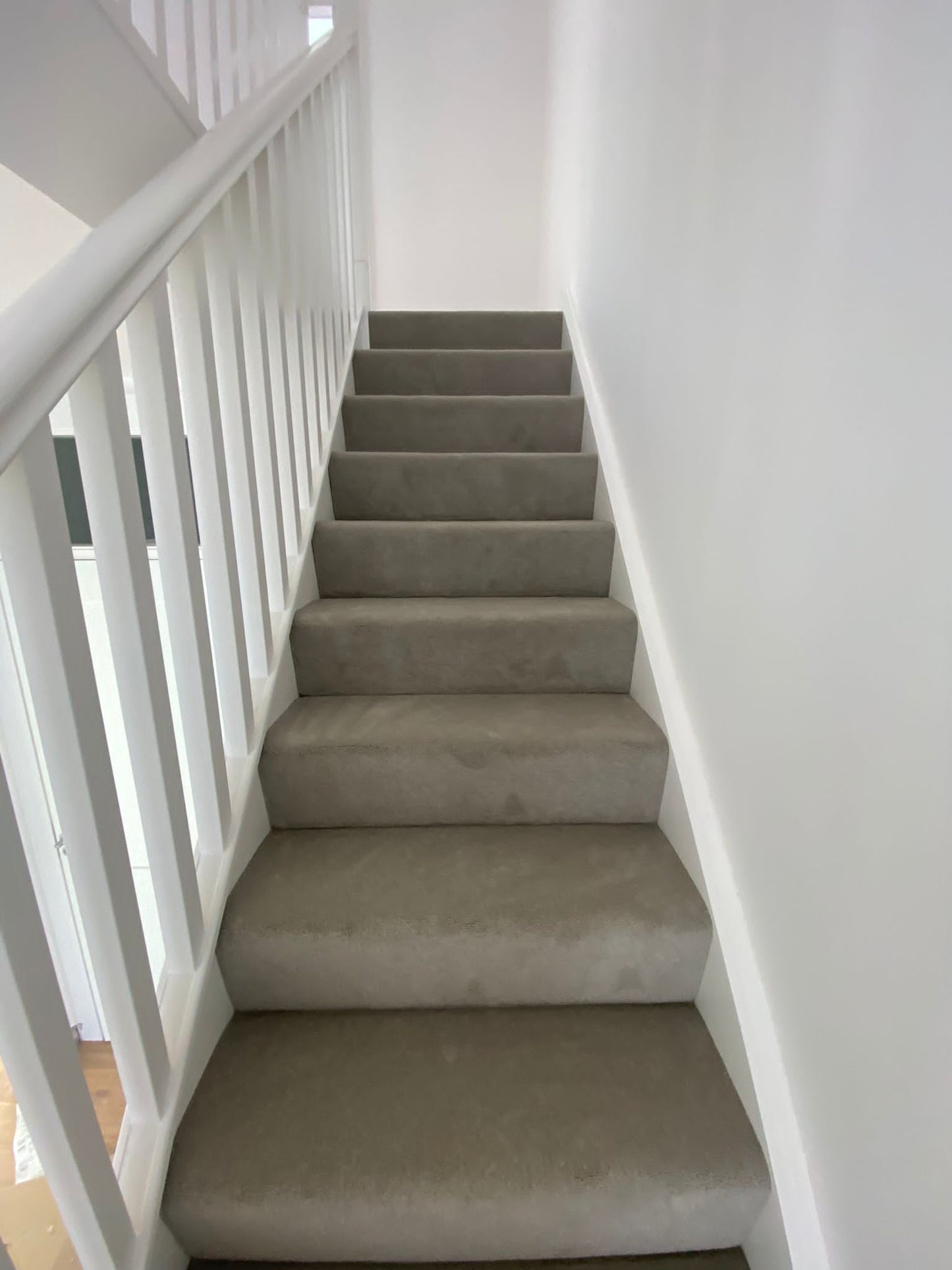 Windsor Velvet 275 Pebble Grey
