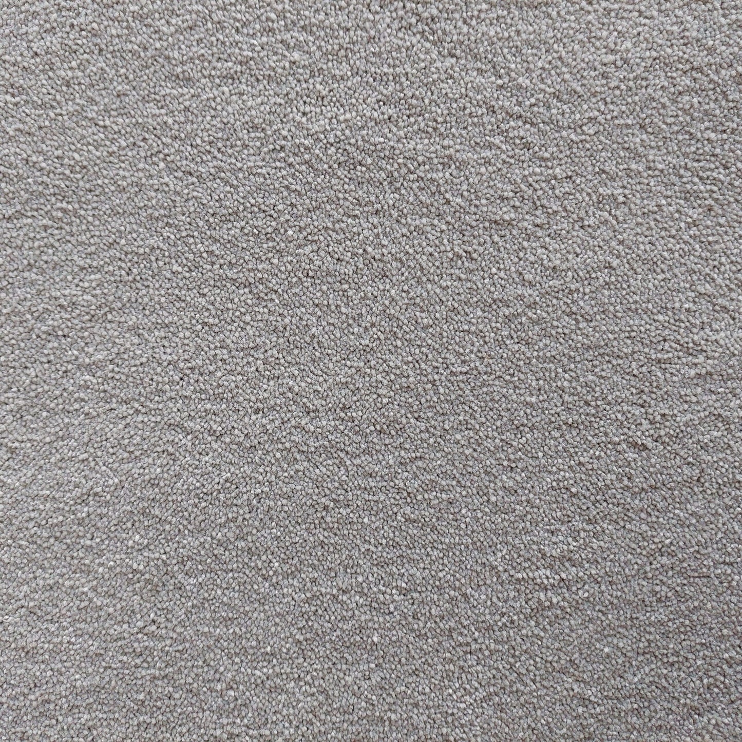 Bellevue - 176 Vintage White