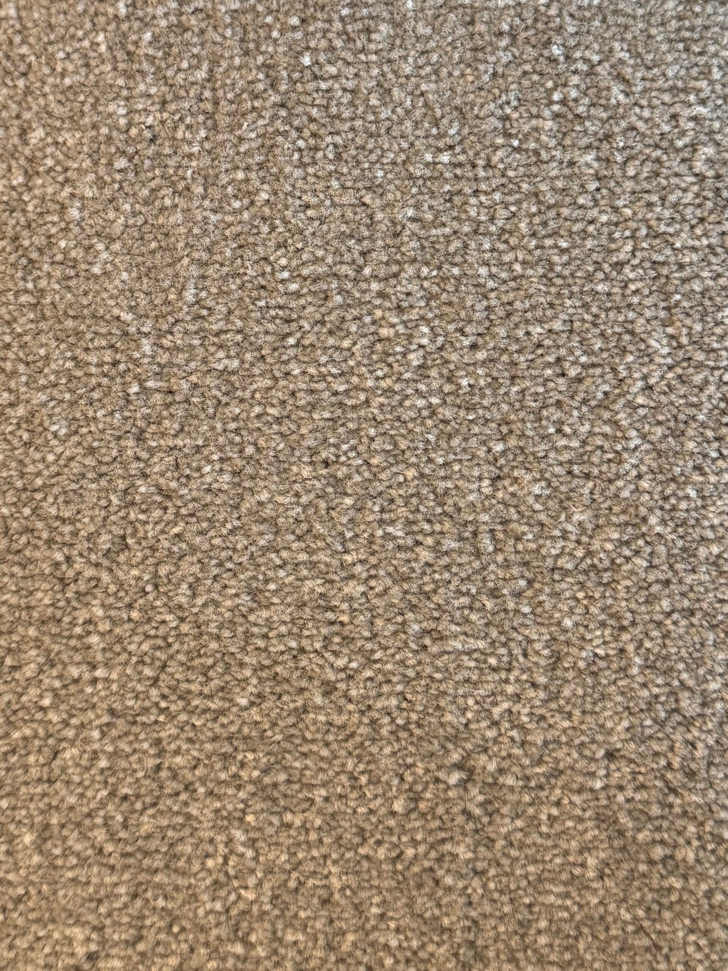 Bomonti - 61 Canvas