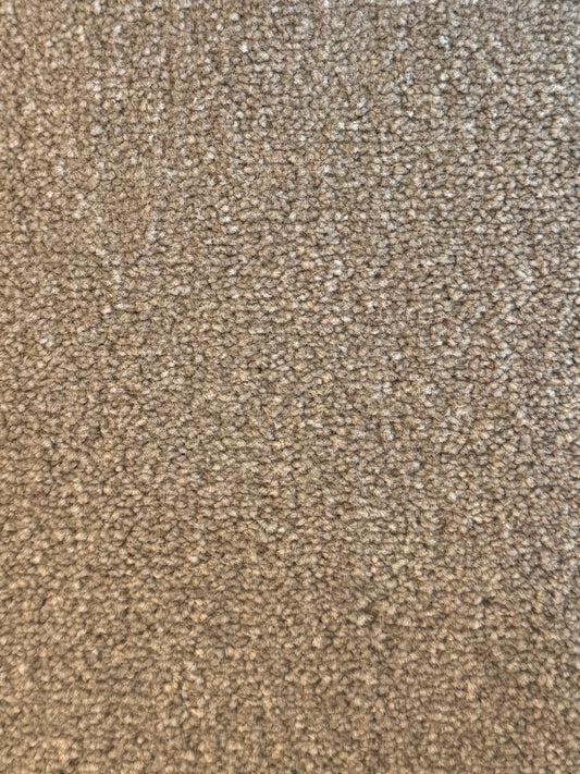 Bomonti - 61 Canvas