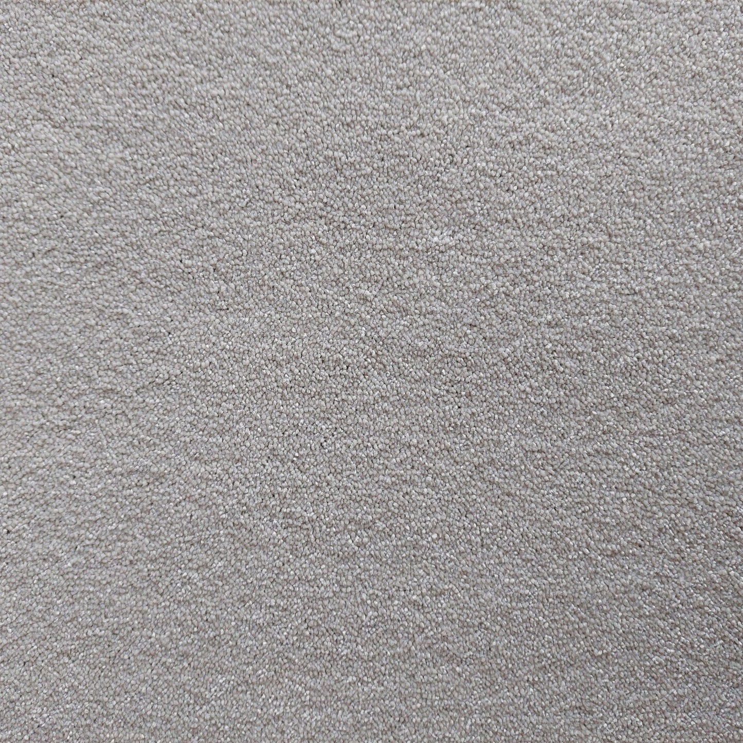 Bellevue - 73 Soft White