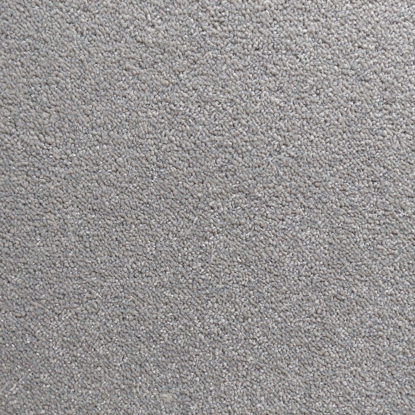 Bellevue - 75 Modern Grey