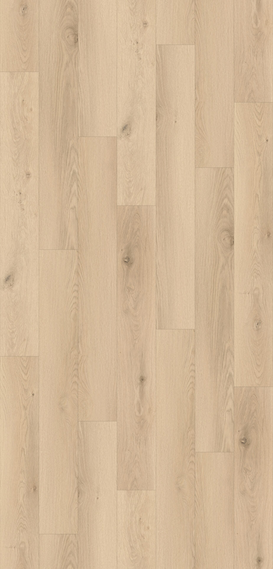 Canadia Aqua - Annalee Oak 12mm (€32.99/m2)