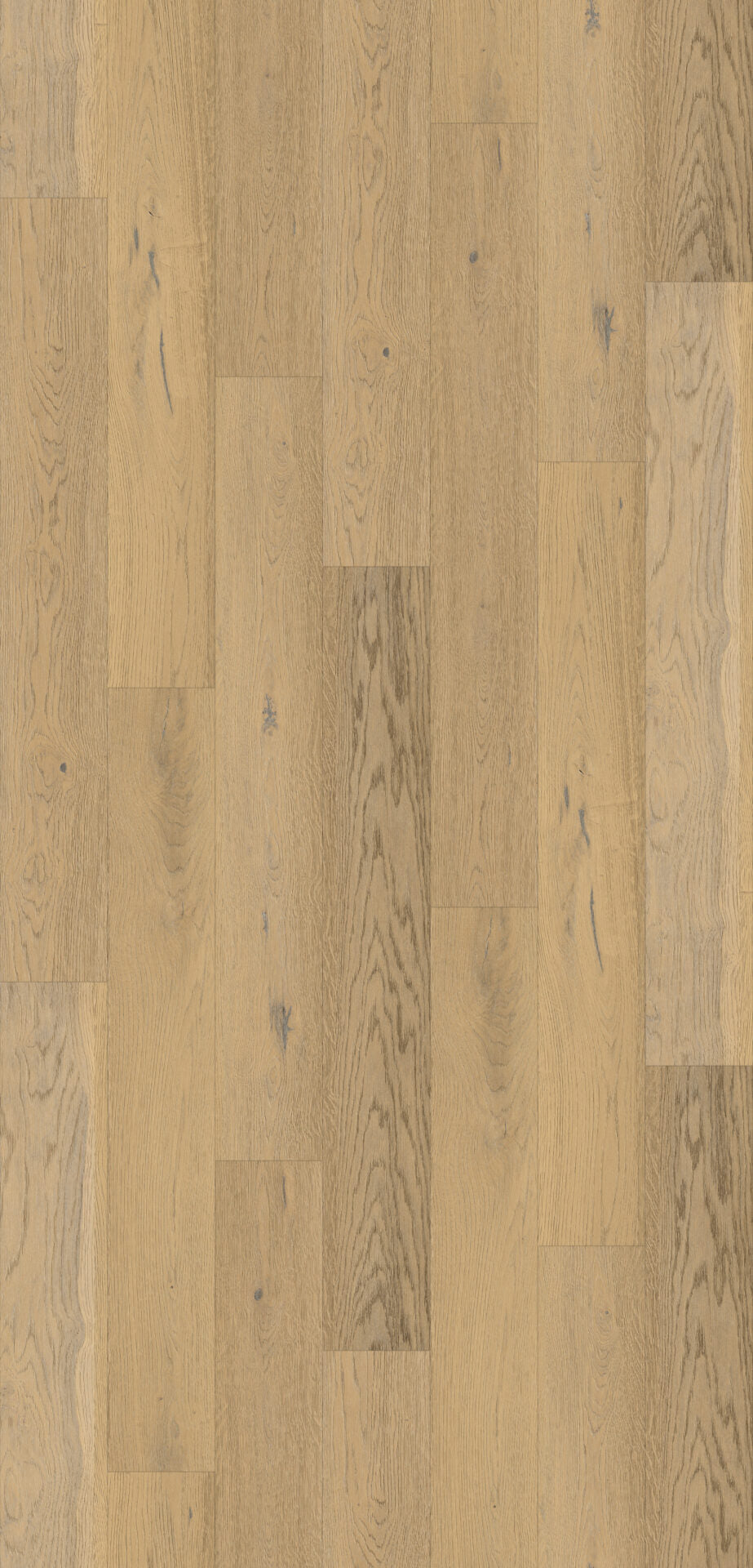 Canadia Aqua - Boyne Oak 12mm (€32.99/m2)