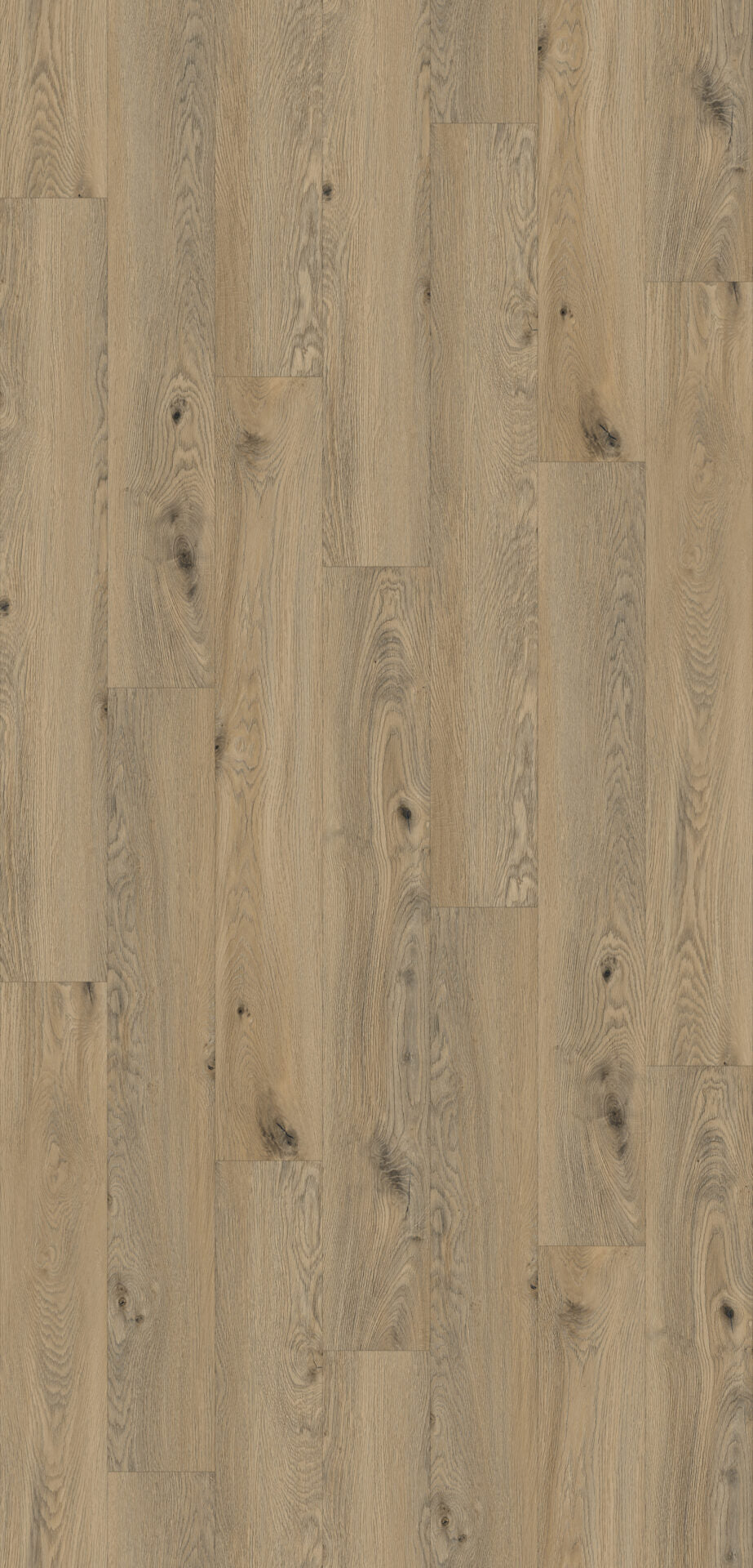 Canadia Aqua - Glendalough Oak 12mm (€32.99/m2)