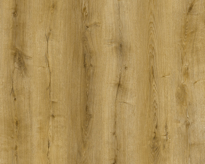 Canadia Aqua - Stade Oak 12mm (€32.99/m2)