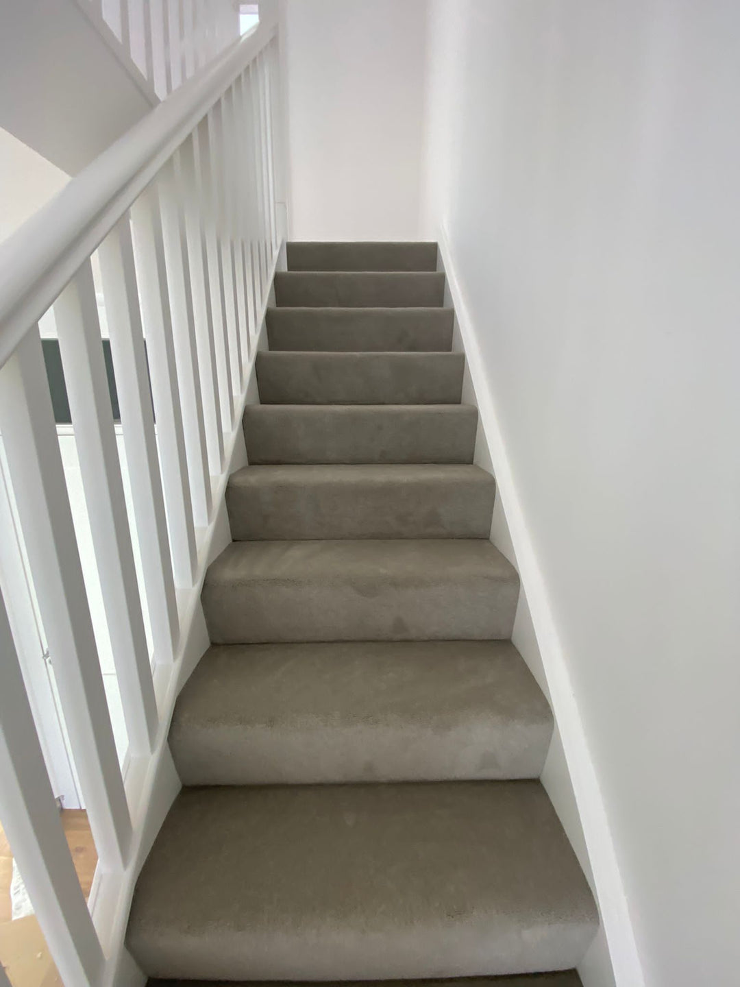 Windsor Velvet 275 Pebble Grey